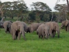 2005 Trip to Kenya
